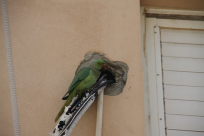  هل التقطت صوراً مميزة وجميلة  - شاركنا بها في زاوية "صورتي الأجمل"